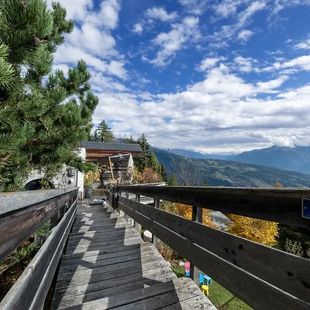 Occursus * אנזיר