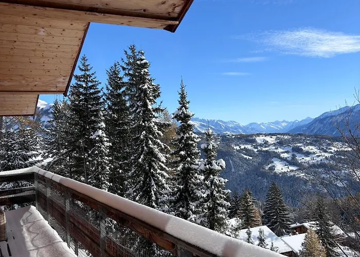 Occursus Chalet Anzère